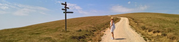 Image of a day walker in the Sierra de Abodi.