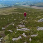 wp_20160717_15_05_42_pro_ed