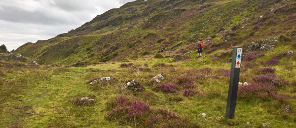 wp_20160902_14_17_32_rich_edited