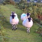 wp_20160902_17_10_28_ed